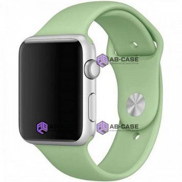 Силиконовый ремешок Silicone Sport Band (38mm, 40mm, 41mm, [42mm Series 10/11], №64 Avocado, S) 234504 фото