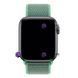 Ремінець для Apple Watch Nylon Loop нейлоновий (38mm, 40mm, 41mm, [42mm Series 10/11], Spearmint) 234967 фото 2