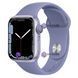 Силиконовый ремешок Silicone Sport Band (38mm, 40mm, 41mm, [42mm Series 10/11], Gray Purple, S) 234514 фото