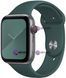 Силиконовый ремешок Silicone Sport Band (38mm, 40mm, 41mm, [42mm Series 10/11], Swamp Green, S) 4082290000010 фото