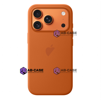 Чехол Original Silicone Case MagSafe (iPhone 17 Pro Max, Terra Cotta) 4235690000009 фото