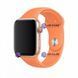 Силіконовий ремінець Silicone Sport Band (42mm, 44mm, 45mm, 46mm, 49mm №56 Papaya, S) 234546 фото