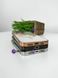 Чехол Brilliant MagSafe Case (iPhone 13 Pro Max, Gold)