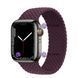Монобраслет на Apple Watch Braided Solo Loop (Plum, 38mm, 40mm, 41mm, [42mm Series 10/11], S) 234647 фото
