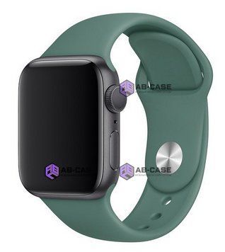Силиконовый ремешок Silicone Sport Band (38mm, 40mm, 41mm, [42mm Series 10/11], Pine Green, S) 234498 фото