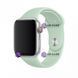 Силиконовый ремешок Silicone Sport Band (38mm, 40mm, 41mm, [42mm Series 10/11], №59 Beryl, S) 234499 фото