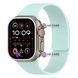 Ремінець Pebbled Magnetic Band (42/44/45/46/49mm) &ndash; Light Mint 4350180000007 фото